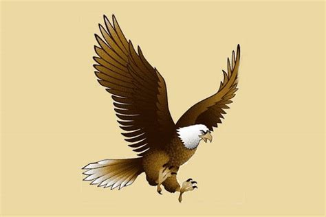 Free 8 Eagle Cliparts In Vector Eps