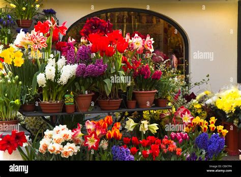 Lots Of Colorful Spring Flowers Outside A Florist Shop Stock Photo Alamy