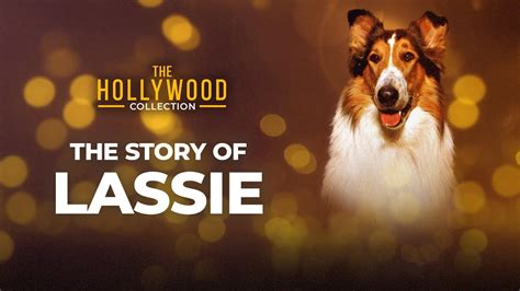 The Story Of Lassie The Hollywood Collection Youtube