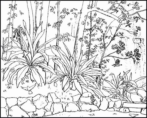 ️beautiful Nature Coloring Pages Free Download