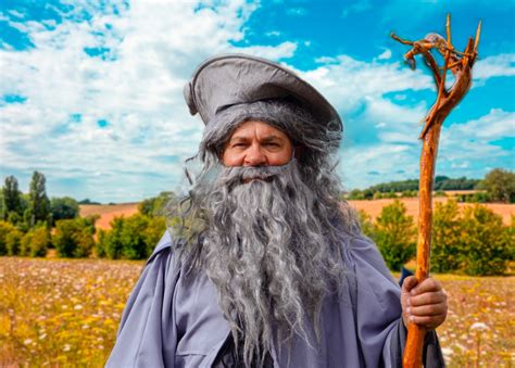 Halloween Costume Classics Wizards Throughout The Ages