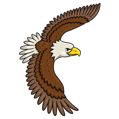 Bald Eagle Flying Illustrations Royalty Free Vector Graphics And Clip