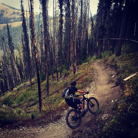 Montana Mountain Bikers Lose Access To Another 180 Miles Of Singletrack