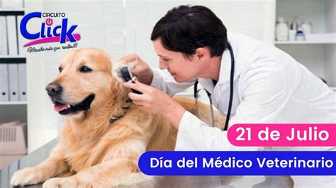 Cuanto cuesta una consulta veterinaria de urgencia