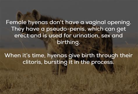 Crazy Sex Facts That Will Make You Think About Celibacy 18 Photos