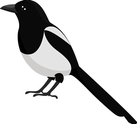 Magpie Bird Illustration Vector On White Background 13776770 Vector