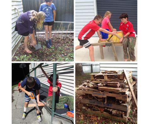 Action Projects At Canvastown School Enviroschools Marlborough