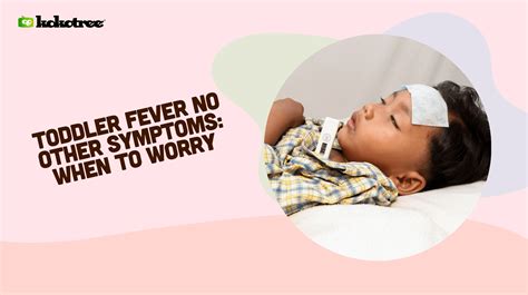 Toddler Fever No Other Symptoms When To Worry Kokotree