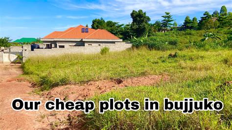 Hot Plot For Sale Bujjuko Mityana Road With Read Land Title Youtube
