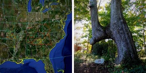 Cherokee Trail Trees Relicrecord