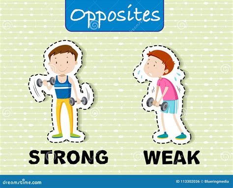 Words Strong And Weak Flashcard With Cartoon Characters Opposite