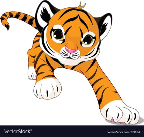 Cartoon Baby Tiger Royalty Free Vector Image Vectorstock