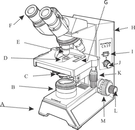 Compound Light Microscope Parts Blank Sketch Coloring Page