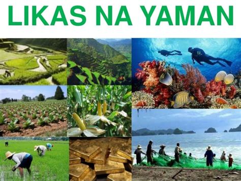 Mga Likas Na Yaman Ng Pilipinas Part I Araling Panlip Vrogue Co