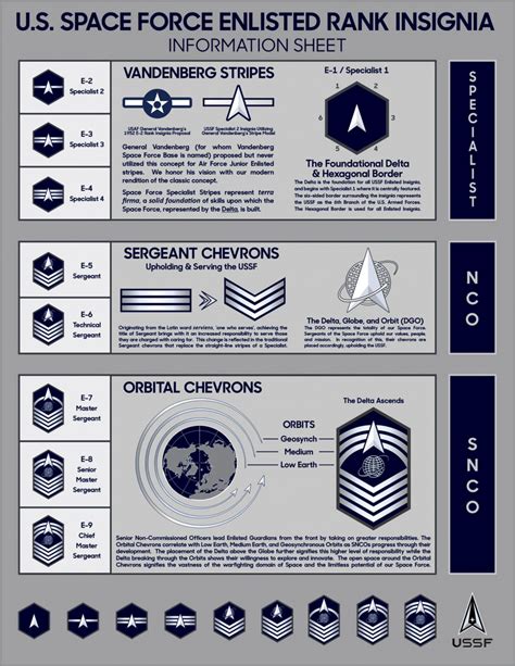 United States Military Ranks And Insignia A Scars Guide Updated