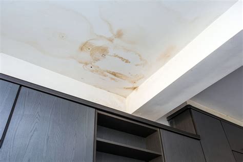 Avoiding Water Damage From Your Hvac Equipment