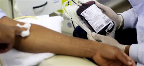Do Doador à Transfusão Conheça O Caminho Que O Sangue Percorre Depois