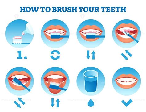 Free How To Brush Your Teeth Vector Illustration Vectormine