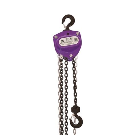 Beaver 3s Industrial Manual Chain Blocks With Overload Protection 6m Standard Lift