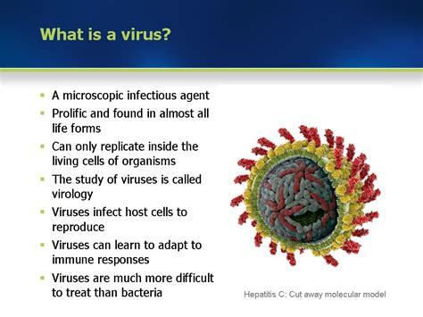 It might sound silly, but your computer can catch a cold just like you. Module 1: Structure, types of viruses and reproduction
