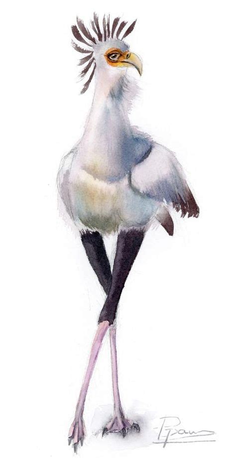 Funny Bird Art Ornithology Original Watercolor Painting Whimsical Bird