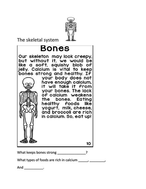 Skeletal System Interactive Worksheet For 3rd 12th You Can Do The