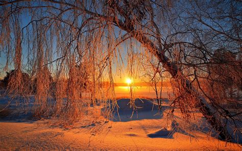 Winter Sunset Hd Wallpaper Background Image 1920x1200 Id706696