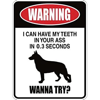 Is my puppy playing or being aggressive? Amazon.com : German Shepherd Dog Yard Sign "Security Force ...