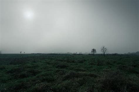 Marsh Moor Flat Landscape Wet Foggy Mist Vegetation Grassland