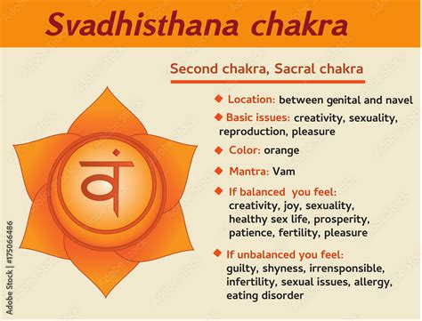 svadhisthana chakra infographic second sexual sacral chakra symbol description and features