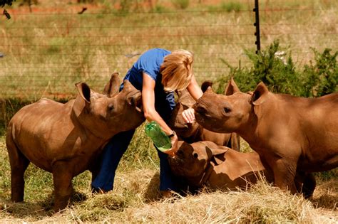 4 Amazing Animal Sanctuaries Who Need Your Help To Continue Saving
