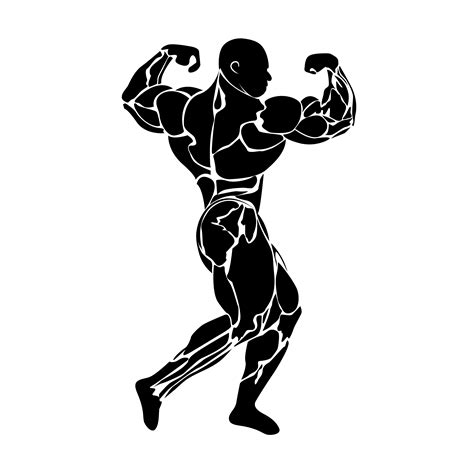 Bodybuilding Vector Custom Designed Illustrations