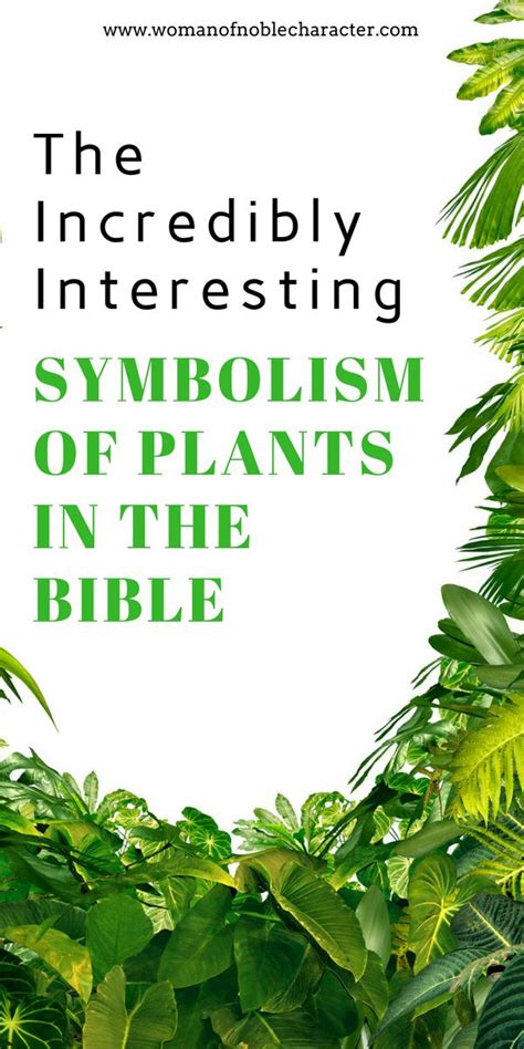 Biblical meaning of flowers in a dream. symbolism of plants in the Bible what plant Bible ...
