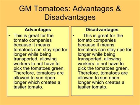 Genetically Modified Food Pros And Cons Essay Examples