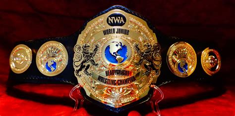 Pin By Douglas Mellott On Wrestling Championship Belts Professional