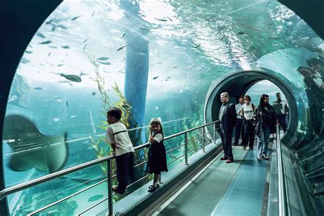 Melbourne Aquarium Underwater Space Hidden City Secrets