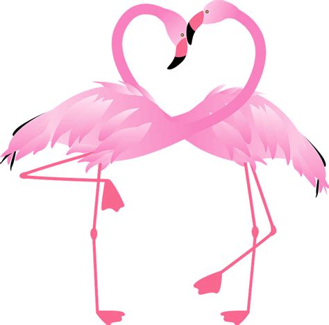 Flamingo Head And Necks Forming A Heart Clipart Free Download