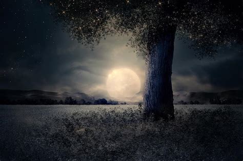 Night Landscape Tree Fairy Tale Fantasy Moon Mysterious Trunk