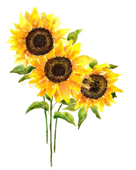 Sunflower Print Sunflower Ts Sunflowers Painting Yellow Etsy Hong Kong