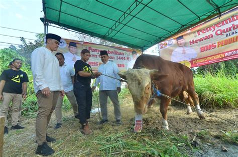 Rayakan Momen Idul Adha Bhs Gelar Pemotongan Hewan Kurban Di Posko