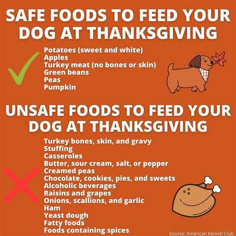 Thanksgiving Foods That Are Dangerous For Your Dog