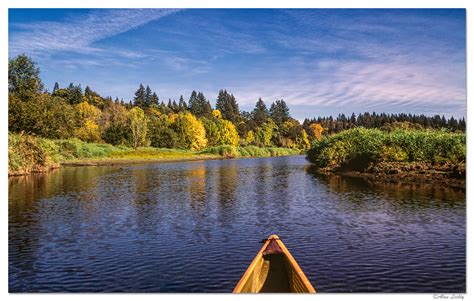 East Fork Of The Lewis River Focal World