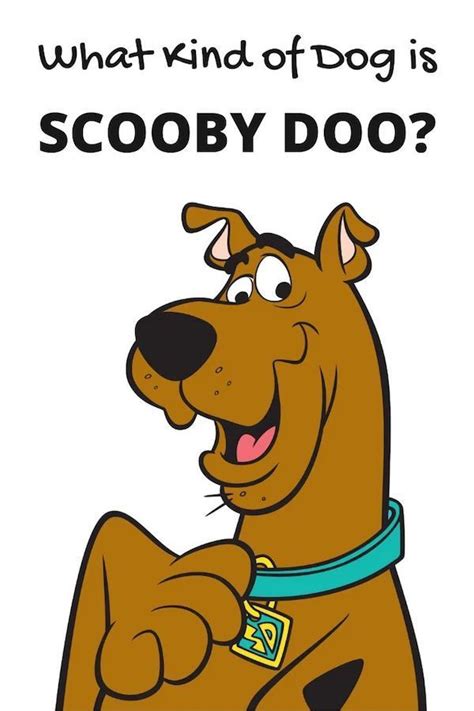 Great danes, too, need exercising yet moderate. What kind of dog is Scooby Doo!?! | What kind of dog, Scooby doo, Scooby