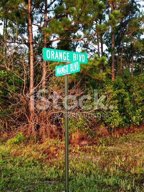 Florida Street Signs With Tropical Fruit Names Stock Photo Royalty