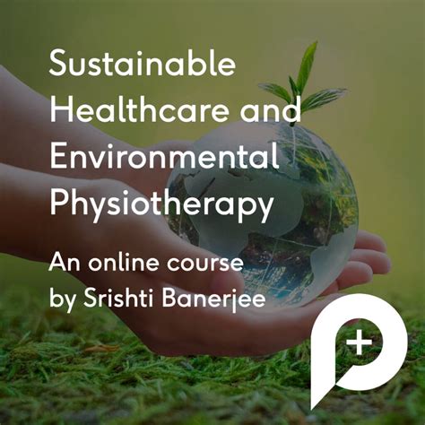 How To Be Environmentally Sustainable As Healthcare Professionals