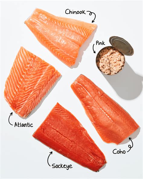 Types Of Salmon A Visual Guide To Wild And Farmed Salmon The Kitchn