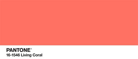 Living Coral Pantones Color Of The Year 2019 Hints Of A Vibrant Year