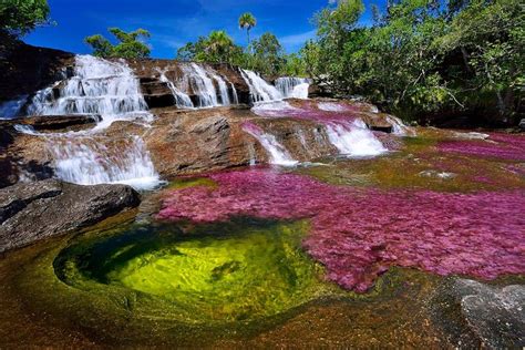 Tripadvisor Caño Cristales De 3 Dias Rio Arco Íris De Bogotá