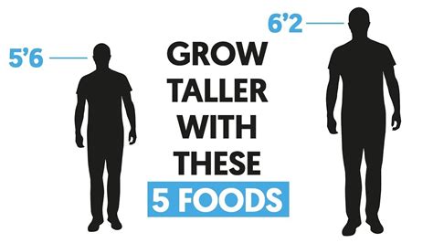 How To Grow Taller By Food Howgrowpro