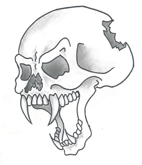 Pictures Of Drawings Of Skulls